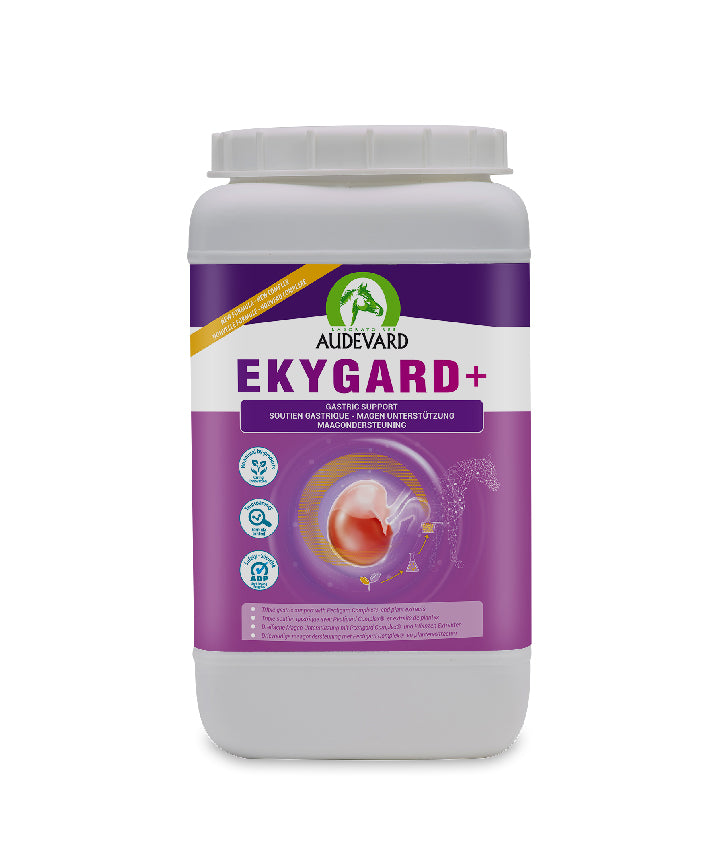 AUDEVARD Ekygard, 2,4kg